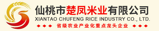 湖北仙桃国产精品瑜伽裤麻豆