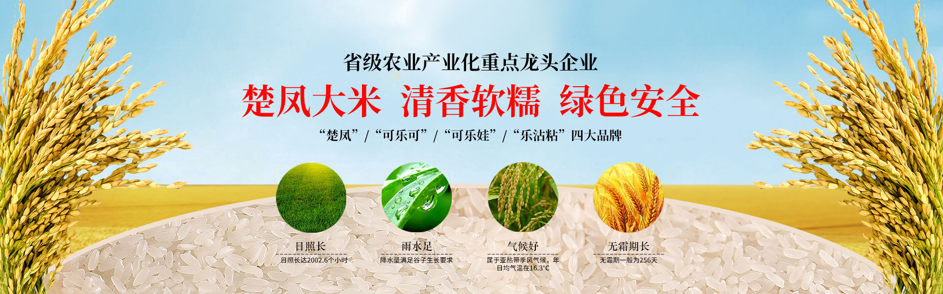 湖北仙桃国产精品瑜伽裤麻豆,仙桃国产精品瑜伽裤麻豆,湖北国产精品瑜伽裤麻豆批发